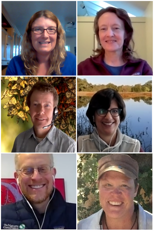 conference committee zoom photo